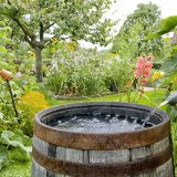 comment stocker de l'eau de pluie