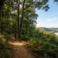 Un randonneur avec sac à dos et bâtons marche sur un sentier forestier surplombant une vallée verdoyante et une rivière.