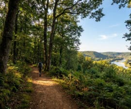Un randonneur avec sac à dos et bâtons marche sur un sentier forestier surplombant une vallée verdoyante et une rivière.
